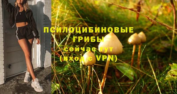 ALPHA-PVP Бородино