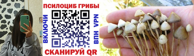 Псилоцибиновые грибы мухоморы Волоколамск
