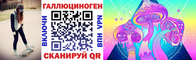 где продают   Волоколамск  Псилоцибиновые грибы Psilocybine cubensis 